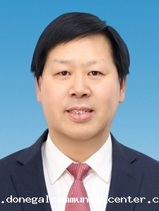 毛向阳
